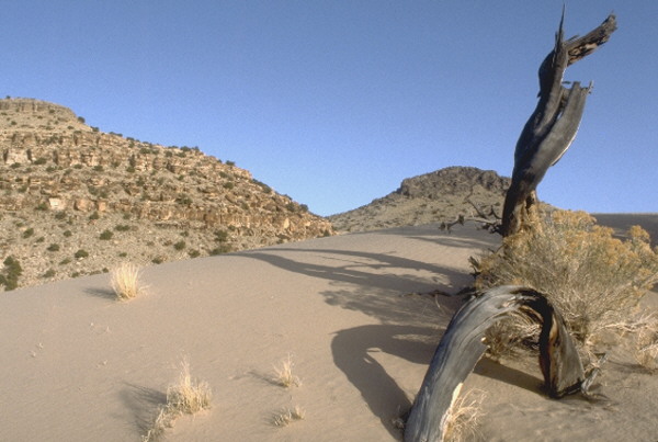 Fossil Mountain photo